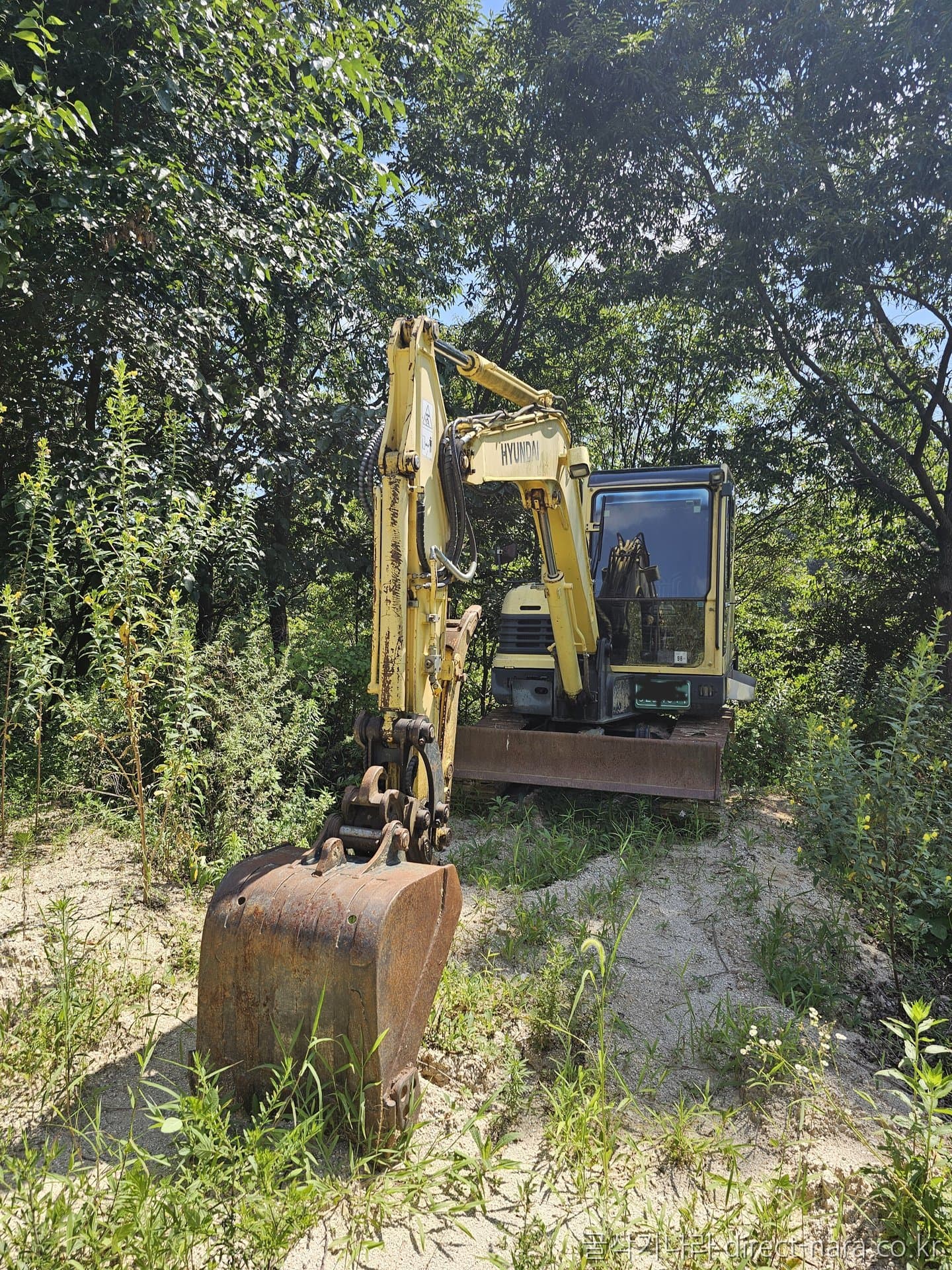 HD Hyundai ROBEX55
